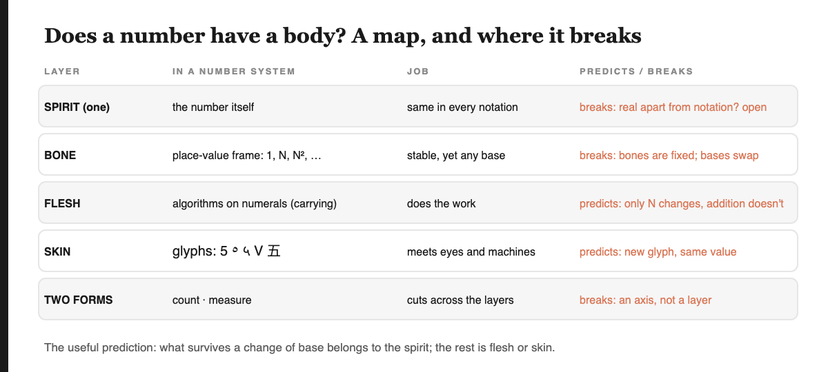 A table titled Does a number have a body. Rows: spirit is the number itself, the same in every notation, breaking on the open question of whether it is real apart from notation; bone is the place-value frame, breaking because bones are fixed while bases swap; flesh is algorithms on numerals such as carrying, predicting that only N changes while addition does not; skin is the glyphs for five in five scripts, predicting a new glyph keeps the same value; two forms, counting and measuring, break as an axis rather than a layer.
