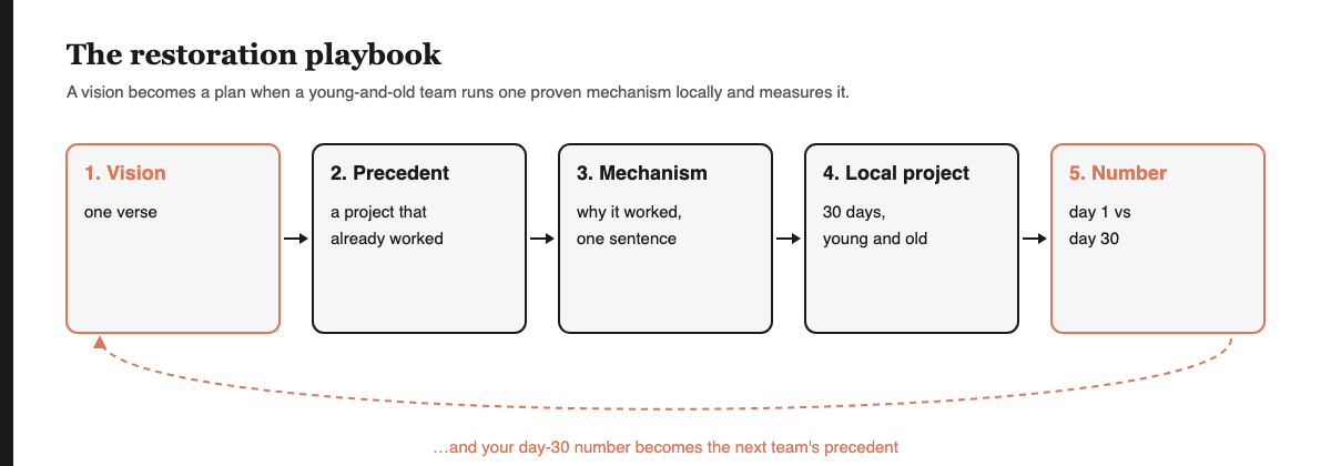 The play-engineering restoration playbook: vision, precedent, mechanism, local project, before-and-after number — run by a team of young and old.