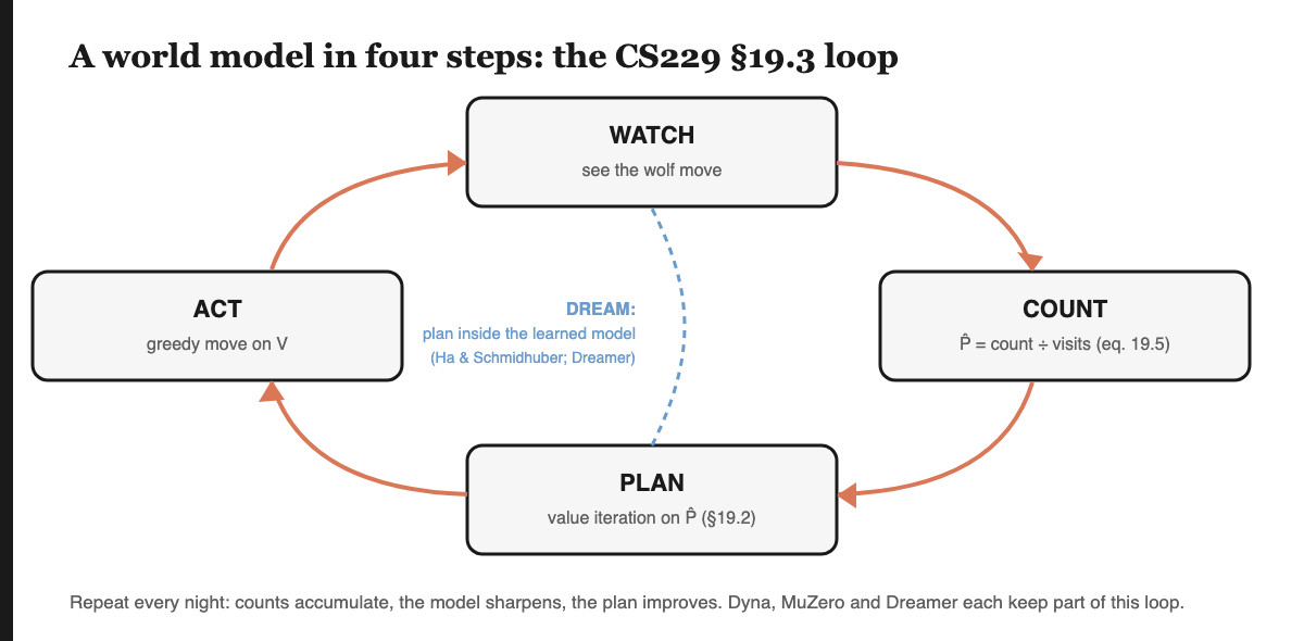 Four boxes in a loop: WATCH (see the wolf move) to COUNT (P-hat equals count divided by visits, equation 19.5) to PLAN (value iteration on P-hat, section 19.2) to ACT (greedy move on V), and back to WATCH. A dashed blue line without an arrow joins PLAN and WATCH through the middle, labelled DREAM: plan inside the learned model (Ha and Schmidhuber; Dreamer).